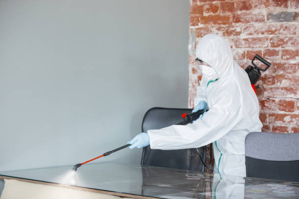 Best Emergency Mold Remediation  in USA